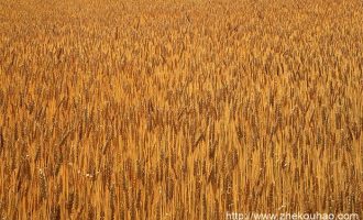 人民日报：公职人员办公室要这样配置！（附最新标准）_办公室主任