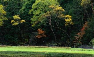 最新！中组部出台重磅文件，涉及所有公务员的提拔和年度奖金_云南省公务员