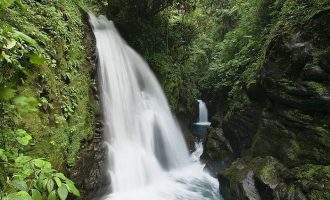 @返乡人员！没有这个，你回不了家_事业单位人员