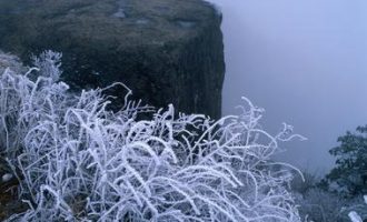 75后县委书记新春任职讲话，感情真挚：不为“旧情”所累、不为“圈子”所困_齐河县委书记