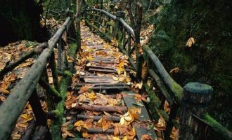 官场老手调研座谈会上的唇枪舌战（真实故事改编，这就是讲话的艺术）_座谈会发言稿