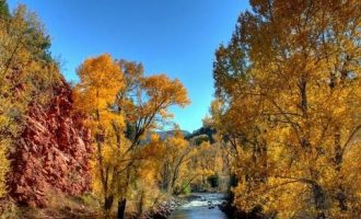 公务员写的情书，不服不行~不说人话是种病，得治~_社区工作者