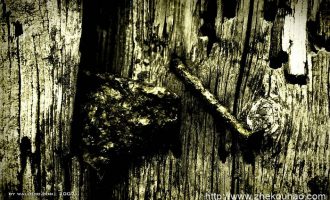 人民币上的姑娘，竟然是副厅长？！_实施方案