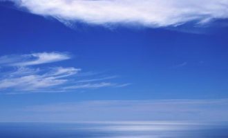 微小说：科长的记性_科科长