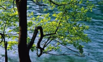 机关单位工作的17个珍贵小经验，关键时刻能帮你大忙！_机关作风建设