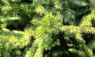 领导给你递烟，低情商的人“双手接过”，高情商的做法不服不行_抄送机关