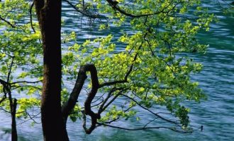 三种方法教你看透一个人是否值得深交_教师公招