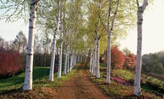 2017年最讽刺搞笑的网络言论！_科长