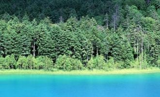 学到了！8位县委书记向领导汇报，犹如八仙过海，水平极高！_县委书记