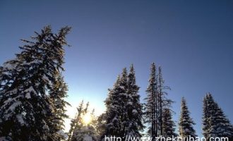 中纪委机关报怒批少数党员干部“任性”用微信：妄议中央 造谣传谣_民警