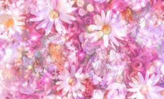 2020年连云港市遴选热点：决战决胜确保脱贫攻坚战圆满收官_2020年招遴选吗