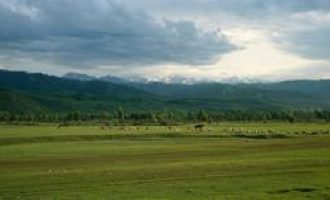 机关事业单位值班制度，还有存在的必要吗？_行政机关