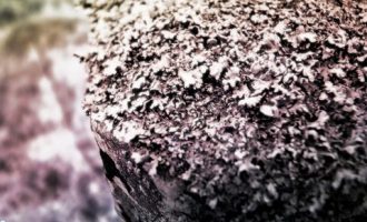 一个统分员眼里的公务员面试 ——与参加公务员遴选（选调）的考生们共勉_广州公务员