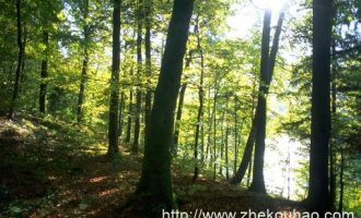 @公务员 未来你的职业将发生这些变化！_温州公务员