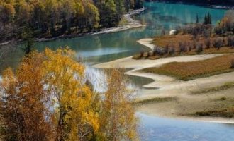 公安发布2020年打架斗殴成本套餐​（附：2020最新伤情鉴定标准明细）_工勤人员