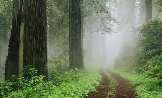 这些组织都是假的！公安部已通报_组织人事