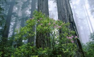 治国理政第三卷（PPT）：锤炼政治品格，坚持学以致用，做到知行合一！_公文写作