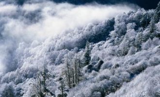 事业单位招706人！含市直单位！_江苏事业单位