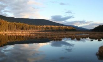 2017胡润百富榜发布！许家印首登首富宝座！_河北省委书记