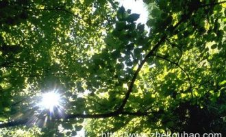 这就是乡镇干部！_乡镇干部