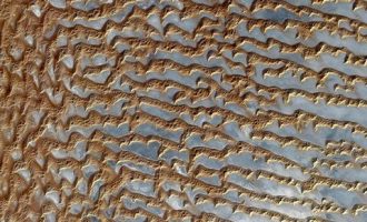 【好消息】中国新设7个自贸区，你能得到这些大实惠！_沈阳市市长