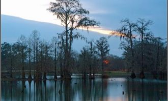 21省考笔试都可能会提前，现在备考还有机会上岸吗 ？_河南省省考