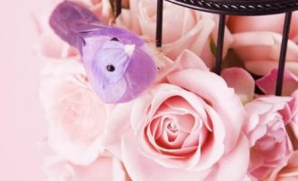 定了！扶贫督察靠暗访，不听汇报、不填表_汇报材料范文