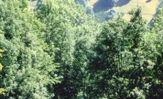 吴京真被北京交警拘过！那句台词原来是切身体会_辽宁省公务员