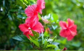 上班无事下班加班，个别干部"勤奋"给领导看是形式主义_党代表