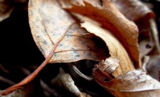 干货来了！800字速览习近平“一带一路”论坛主旨演讲_工商局长