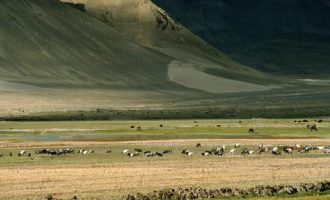 【独家】治国理政第三卷25篇心得汇编：感知人民至上的时代含义！_统战部部长