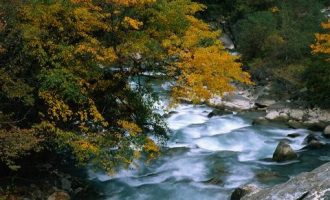 贫困户写的诗，把基层扶贫干部写哭了！_纪检干部