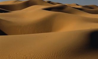 中年少女们，你们拼的到底是什么？_沈阳公务员