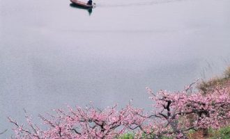 公职人员政务处分法下周首次亮相，问责有何变化？_公职人员