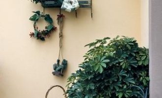 2019年领导讲话优秀范文：哈尔滨市市场监督管理局党组书记、局长孙继先2019年新年贺词_2019年德州市直遴选第二批