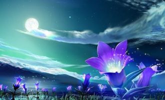 2020年北京市遴选热点：“好差评”是打造服务型政府重要动力_2021昭通市昭阳区遴选职位表