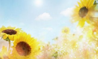 2019年国家领袖讲话：习近平在中央政治局第十二次集体学习时的讲话_2019湖北遴选公务员