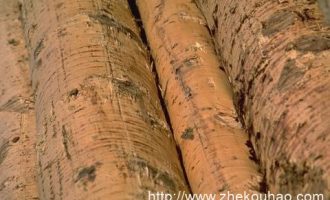 最新指导意见出台！让基层干部的休假，来得光明正大！_基层干部