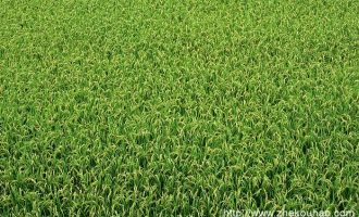 速看！山东、山西、河北事业单位公开招聘！_烟草招聘