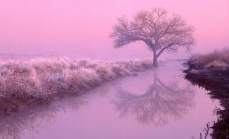 愤怒！扶贫资金竟然这样被腐败，中纪委曝光典型_扶贫工作