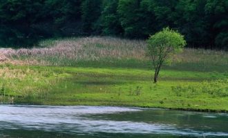 快！省考招6000人，12月11日报名！_选调生面试