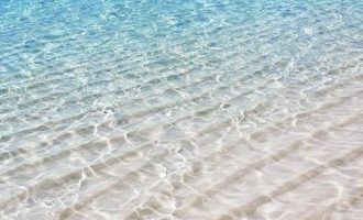 最牛官场小说《局长家的狗》，是狗牛还是人牛！_国土局长