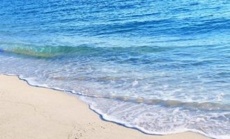 乡镇干部，你到底是在弄啥哩？_乡镇干部