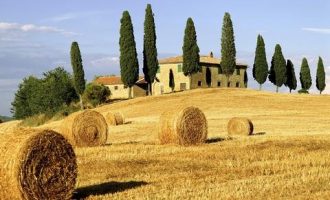 公务员编制招1597人！不限户籍！_海南省公务员