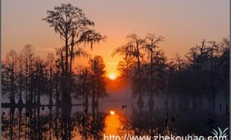 年薪过60万，比公务员待遇高多了！今年，这个铁饭碗大量招人！_济南公务员