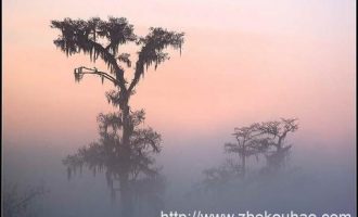 各机关发放中秋节福利_下级机关