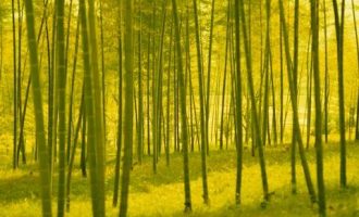 机关里最苦的差事……过于真实！_机关文书