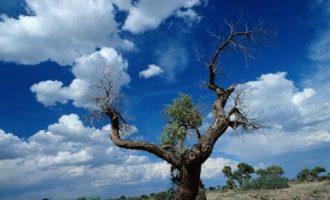 孟书记，再见！再见，永远的孟建柱！_检察院书记员