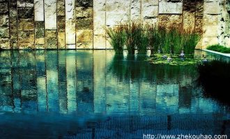 最深刻官场微小说《转院》，听说常委组织部长前来就诊，院领导高度重视，结果_人大常委会法工委