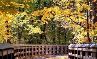 你和领导，关系达到哪个层次了？_领导成员